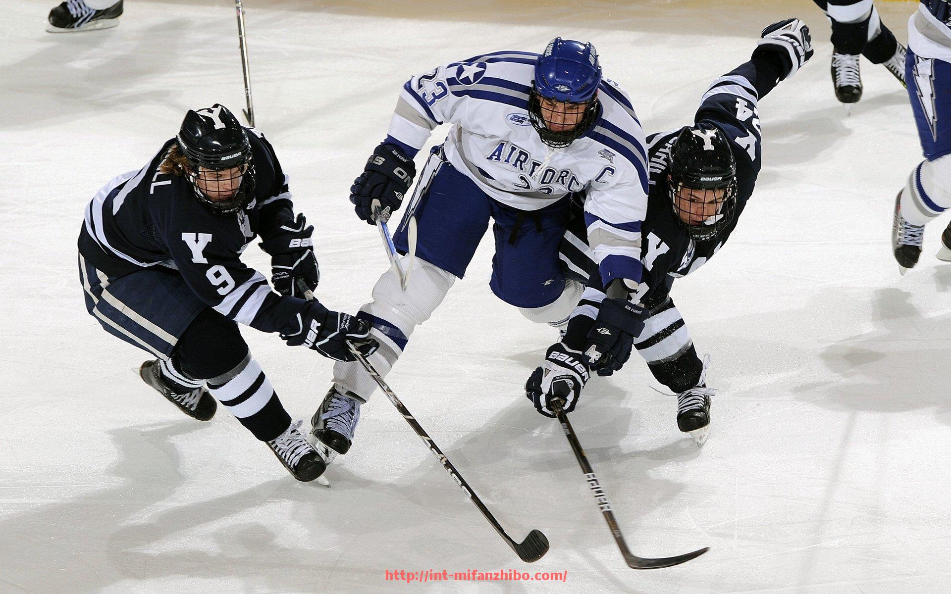 秘饭直播-德国有哪些知名的健身器材品牌？质量与技术解析